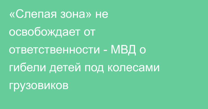 «Слепая зона» не освобождает от ответственности - МВД о гибели детей под колесами грузовиков