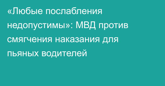 «Любые послабления недопустимы»: МВД против смягчения наказания для пьяных водителей