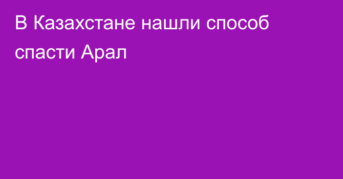 В Казахстане нашли способ спасти Арал