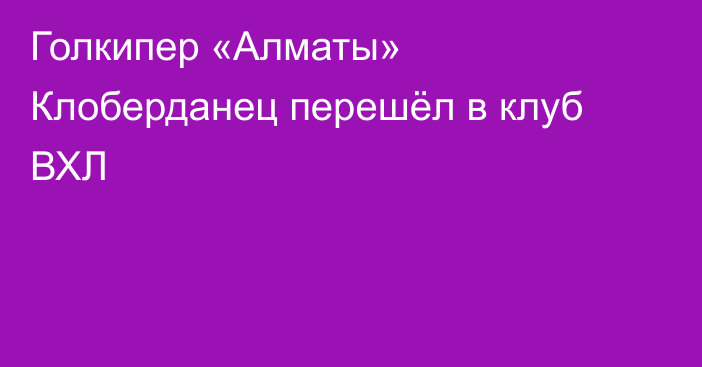 Голкипер «Алматы» Клоберданец перешёл в клуб ВХЛ