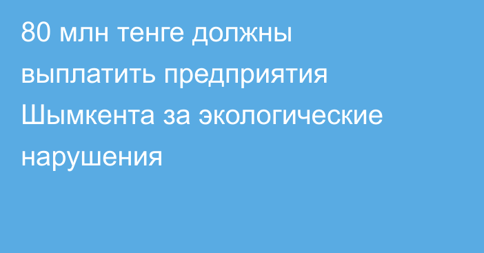 80 млн тенге должны выплатить предприятия Шымкента за экологические нарушения