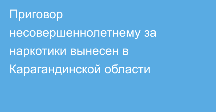 Приговор несовершеннолетнему за наркотики вынесен в Карагандинской области