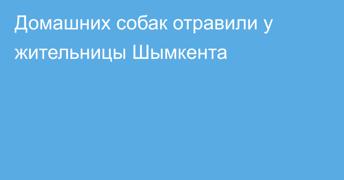 Домашних собак отравили у жительницы Шымкента