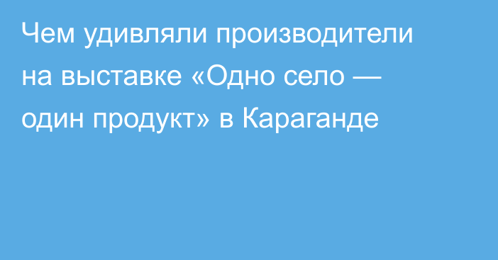 Чем удивляли производители на выставке «Одно село — один продукт» в Караганде