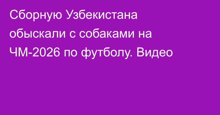 Сборную Узбекистана обыскали с собаками на ЧМ-2026 по футболу. Видео
