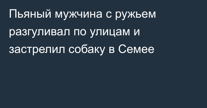 Пьяный мужчина с ружьем разгуливал по улицам и застрелил собаку в Семее