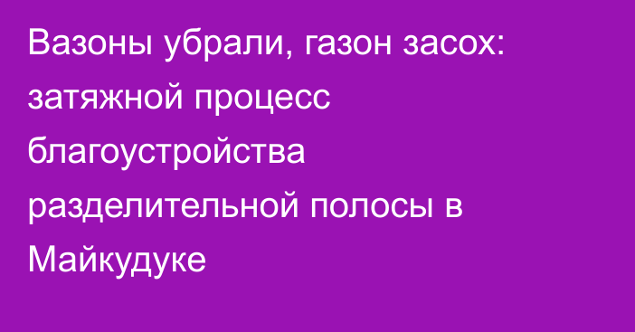 Вазоны убрали, газон засох: затяжной процесс благоустройства разделительной полосы в Майкудуке