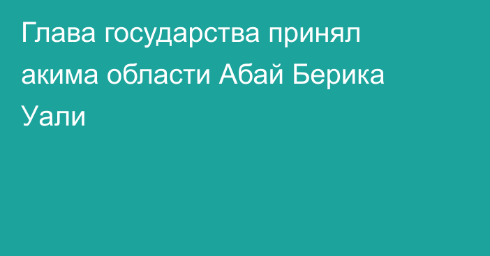 Глава государства принял акима области Абай Берика Уали