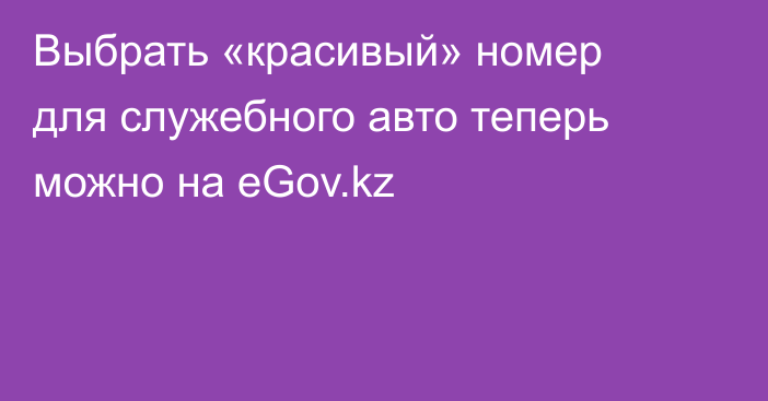 Выбрать «красивый» номер для служебного авто теперь можно на eGov.kz