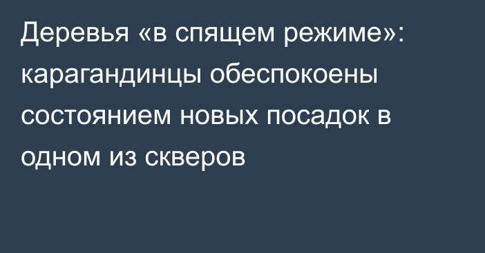Деревья «в спящем режиме»: карагандинцы обеспокоены состоянием новых посадок в одном из скверов