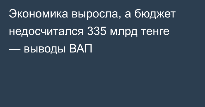 Экономика выросла, а бюджет недосчитался 335 млрд тенге — выводы ВАП