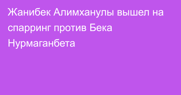 Жанибек Алимханулы вышел на спарринг против Бека Нурмаганбета