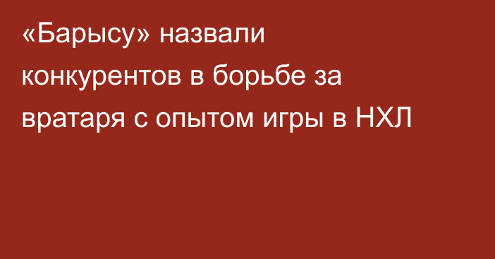 «Барысу» назвали конкурентов в борьбе за вратаря с опытом игры в НХЛ