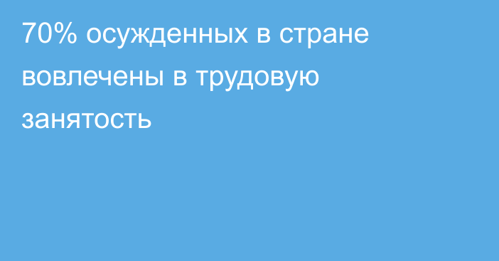 70% осужденных в стране вовлечены в трудовую занятость