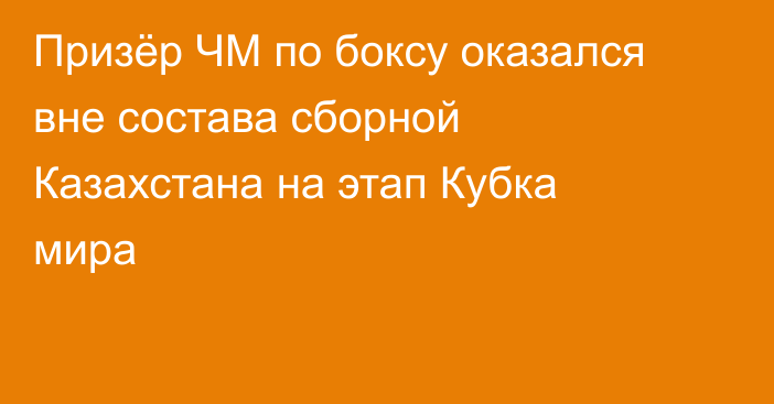 Призёр ЧМ по боксу оказался вне состава сборной Казахстана на этап Кубка мира