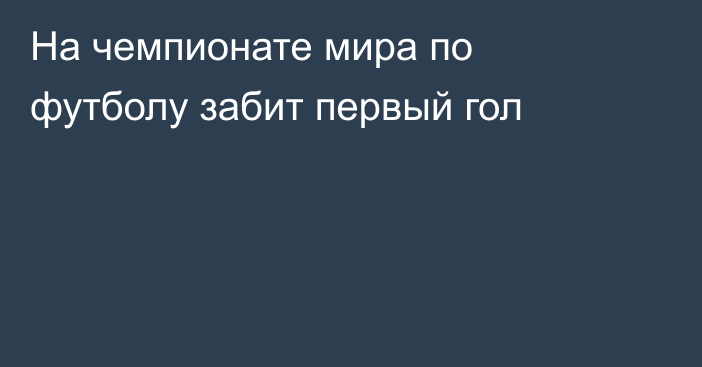 На чемпионате мира по футболу забит первый гол