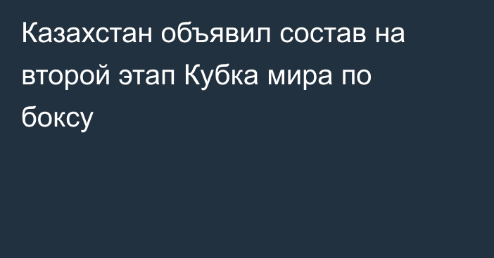 Казахстан объявил состав на второй этап Кубка мира по боксу