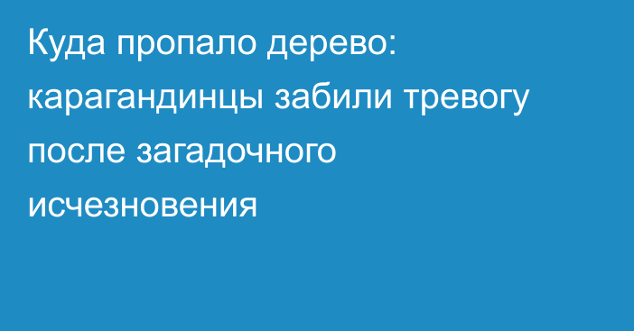Куда пропало дерево: карагандинцы забили тревогу после загадочного исчезновения
