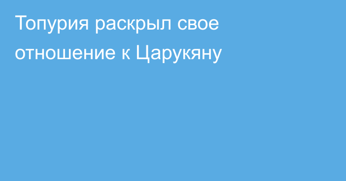Топурия раскрыл свое отношение к Царукяну