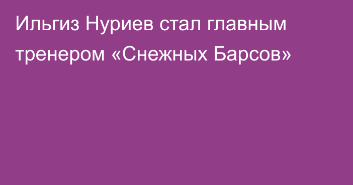 Ильгиз Нуриев стал главным тренером «Снежных Барсов»