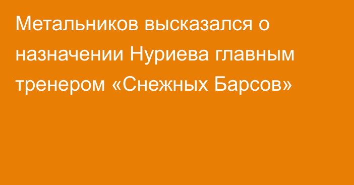 Метальников высказался о назначении Нуриева главным тренером «Снежных Барсов»