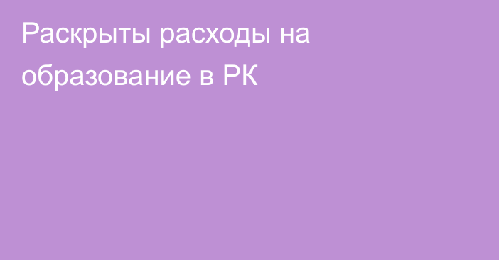 Раскрыты расходы на образование в РК