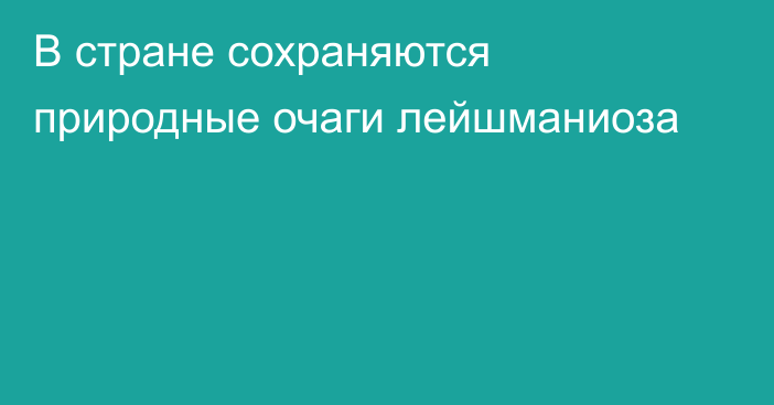 В стране сохраняются природные очаги лейшманиоза