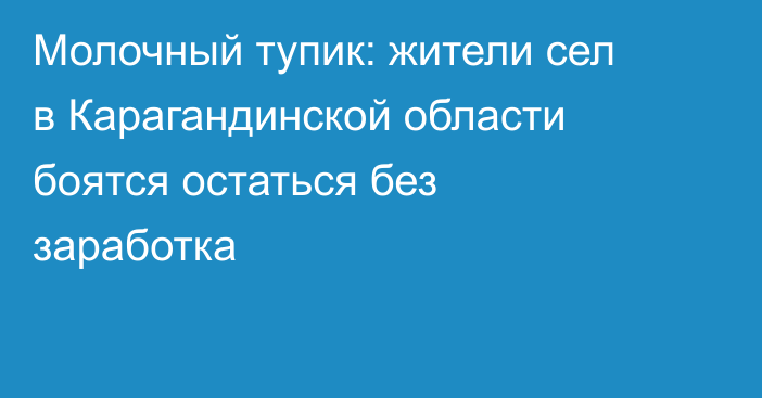 Молочный тупик: жители сел в Карагандинской области боятся остаться без заработка
