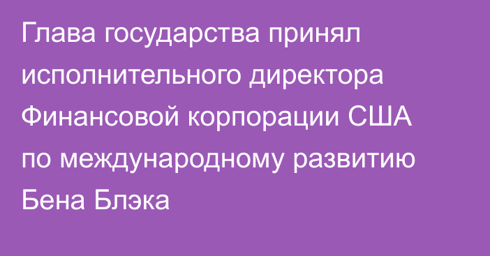 Глава государства принял исполнительного директора Финансовой корпорации США по международному развитию Бена Блэка