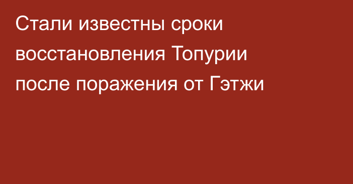 Стали известны сроки восстановления Топурии после поражения от Гэтжи