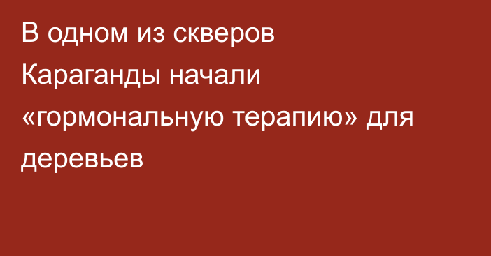 В одном из скверов Караганды начали «гормональную терапию» для деревьев