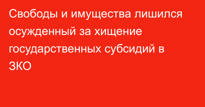 Свободы и имущества лишился осужденный за хищение государственных субсидий в ЗКО