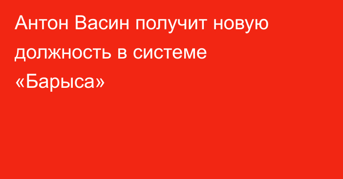 Антон Васин получит новую должность в системе «Барыса»