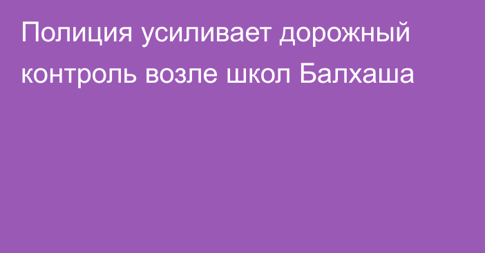 Полиция усиливает дорожный контроль возле школ Балхаша