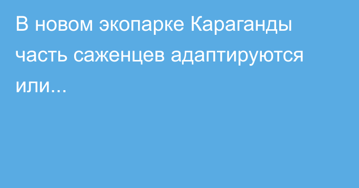 В новом экопарке Караганды часть саженцев адаптируются или...