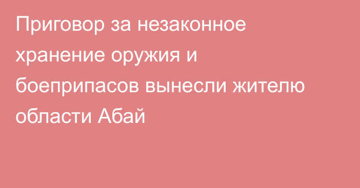 Приговор за незаконное хранение оружия и боеприпасов вынесли жителю области Абай