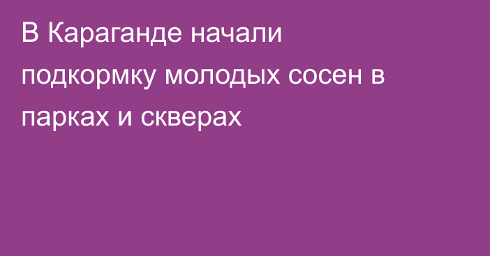 В Караганде начали подкормку молодых сосен в парках и скверах