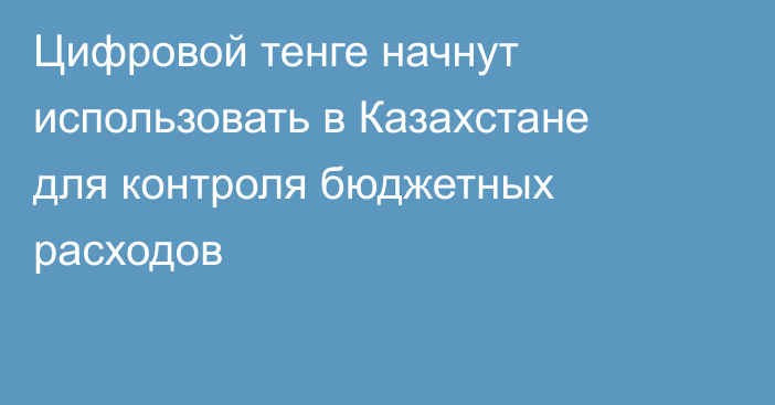 Цифровой тенге начнут использовать в Казахстане для контроля бюджетных расходов