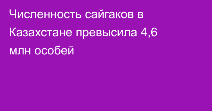 Численность сайгаков в Казахстане превысила 4,6 млн особей