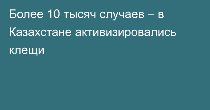 Более 10 тысяч случаев – в Казахстане активизировались клещи