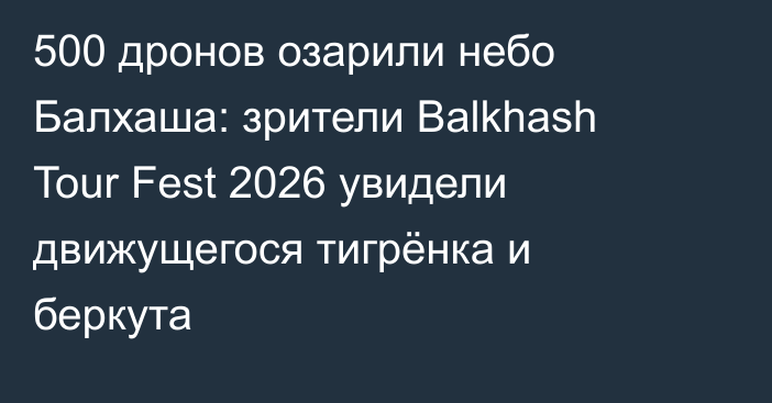 500 дронов озарили небо Балхаша: зрители Balkhash Tour Fest 2026 увидели движущегося тигрёнка и беркута