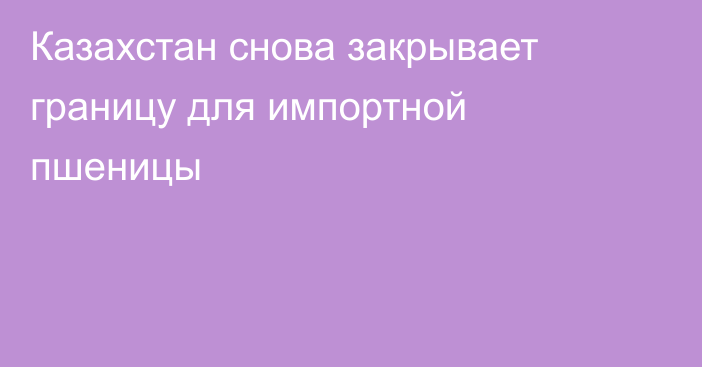 Казахстан снова закрывает границу для импортной пшеницы