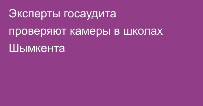 Эксперты госаудита проверяют камеры в школах Шымкента