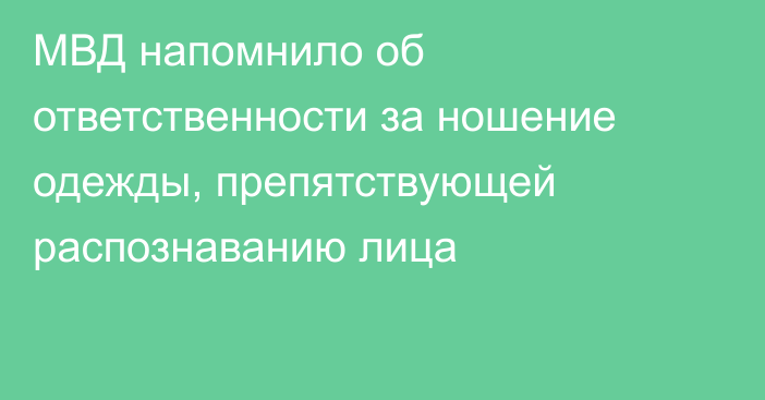 МВД напомнило об ответственности за ношение одежды, препятствующей распознаванию лица