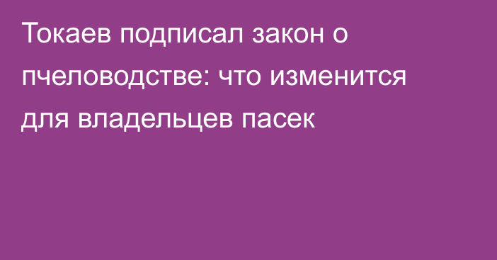 Токаев подписал закон о пчеловодстве: что изменится для владельцев пасек