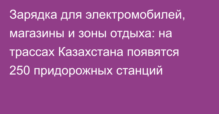 Зарядка для электромобилей, магазины и зоны отдыха: на трассах Казахстана появятся 250 придорожных станций