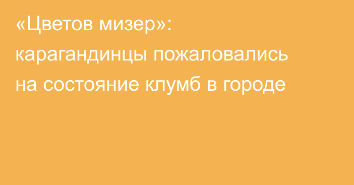 «Цветов мизер»: карагандинцы пожаловались на состояние клумб в городе