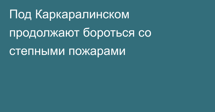 Под Каркаралинском продолжают бороться со степными пожарами