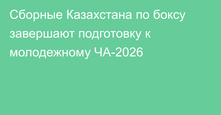 Сборные Казахстана по боксу завершают подготовку к молодежному ЧА-2026