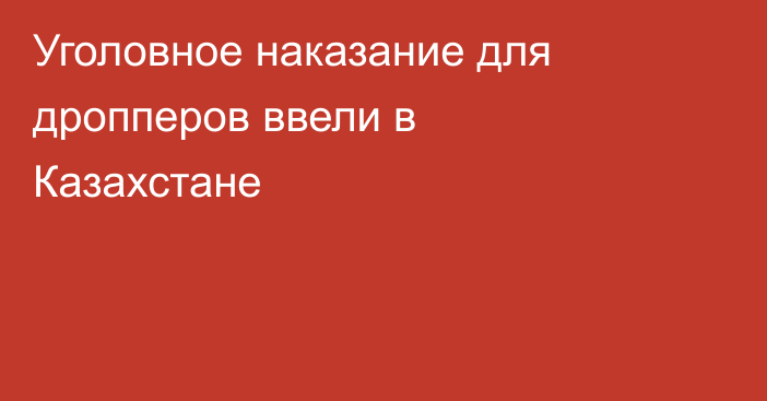 Уголовное наказание для дропперов ввели в Казахстане